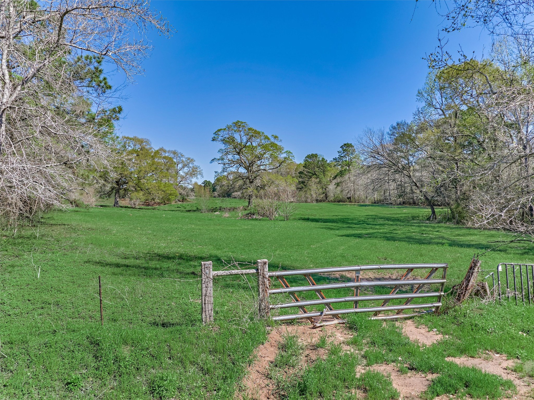 Tbd Bailey Grove Road Montgomery, TX 77356 - Photo 2 of 17 a view of a white and green yard with wooden fence