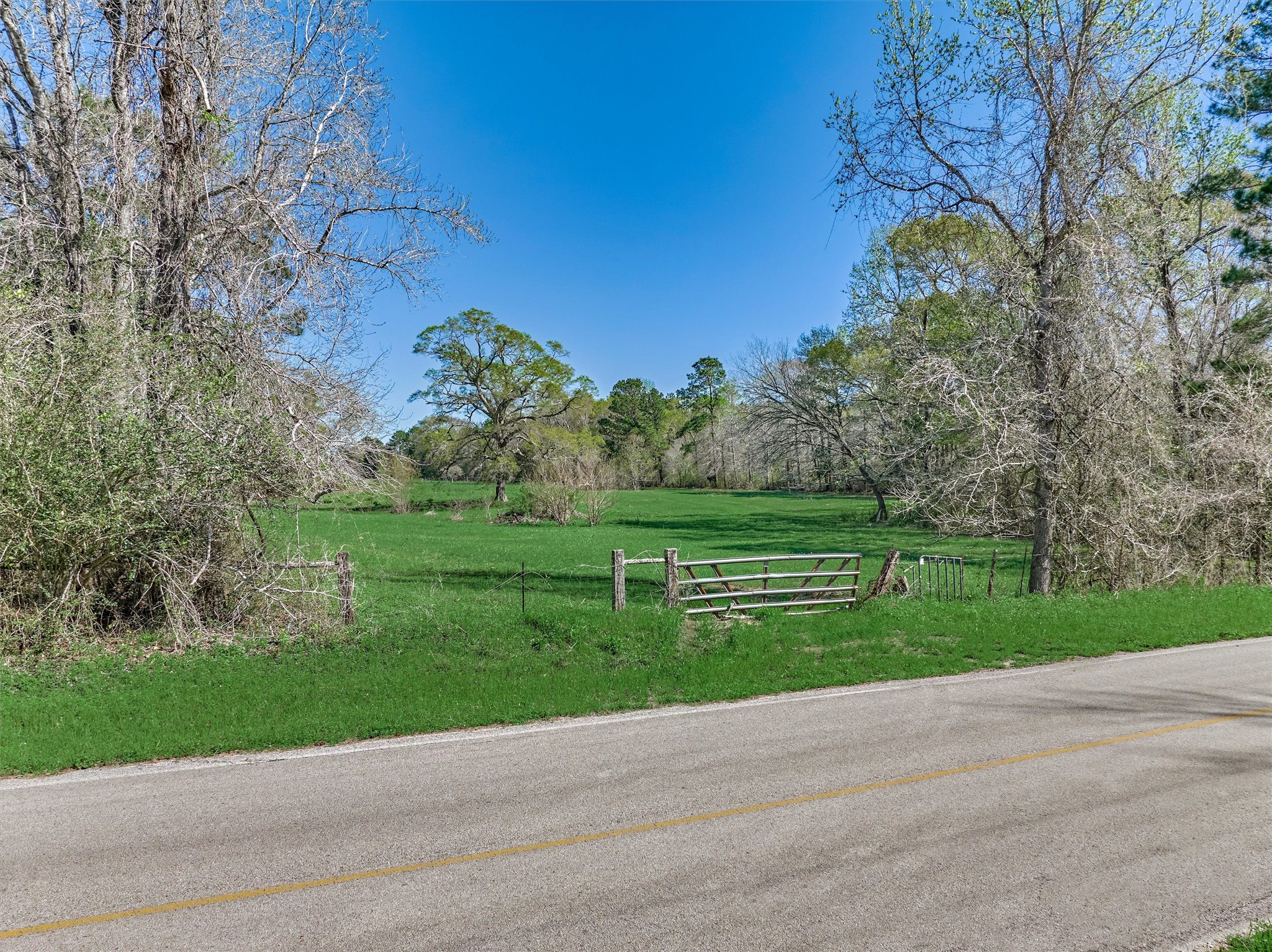 Tbd Bailey Grove Road Montgomery, TX 77356 - Photo 5 of 17 a view of a park with large trees