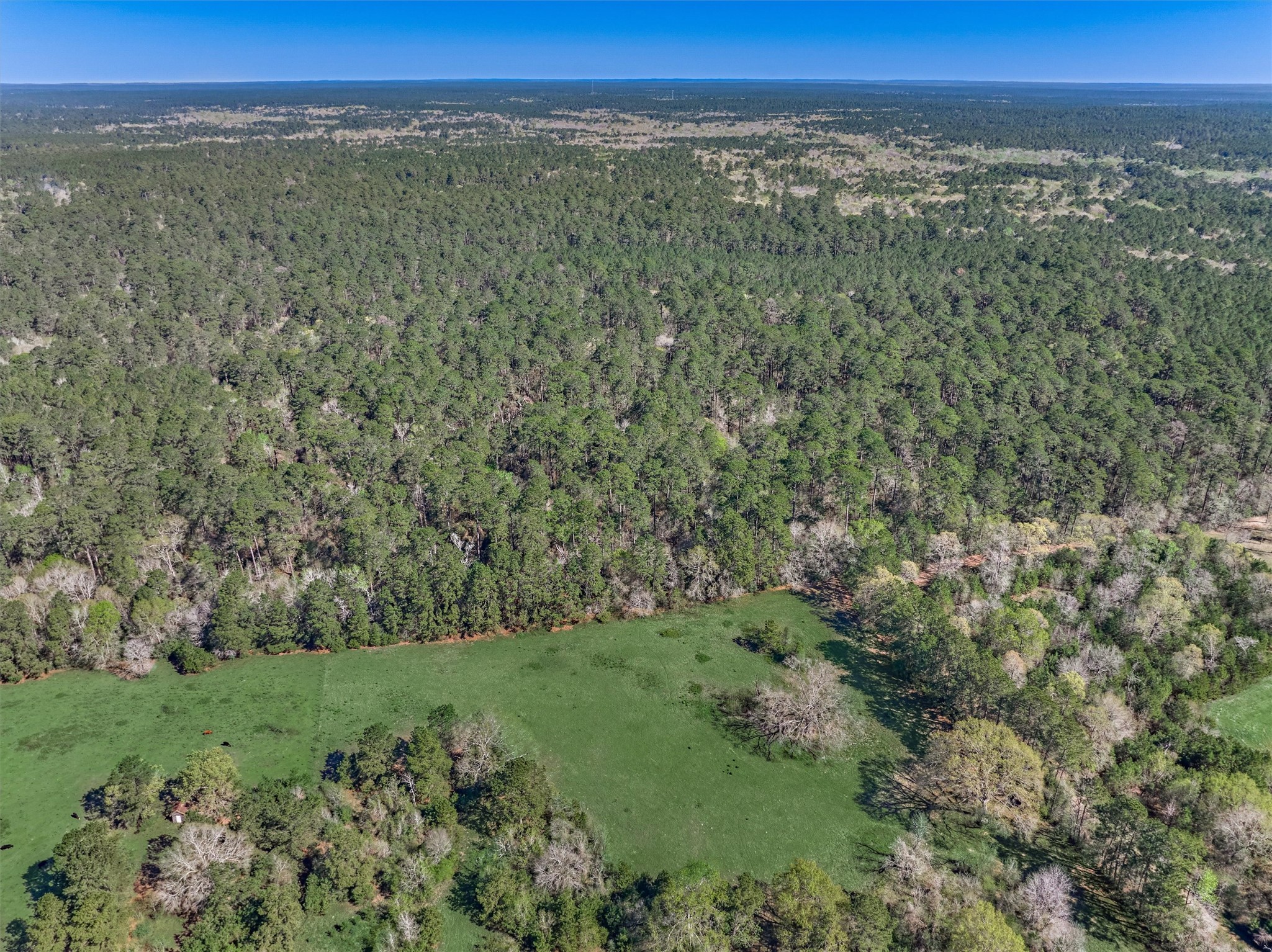 Tbd Bailey Grove Road Montgomery, TX 77356 - Photo 8 of 17 a view of a green field with an outdoor space