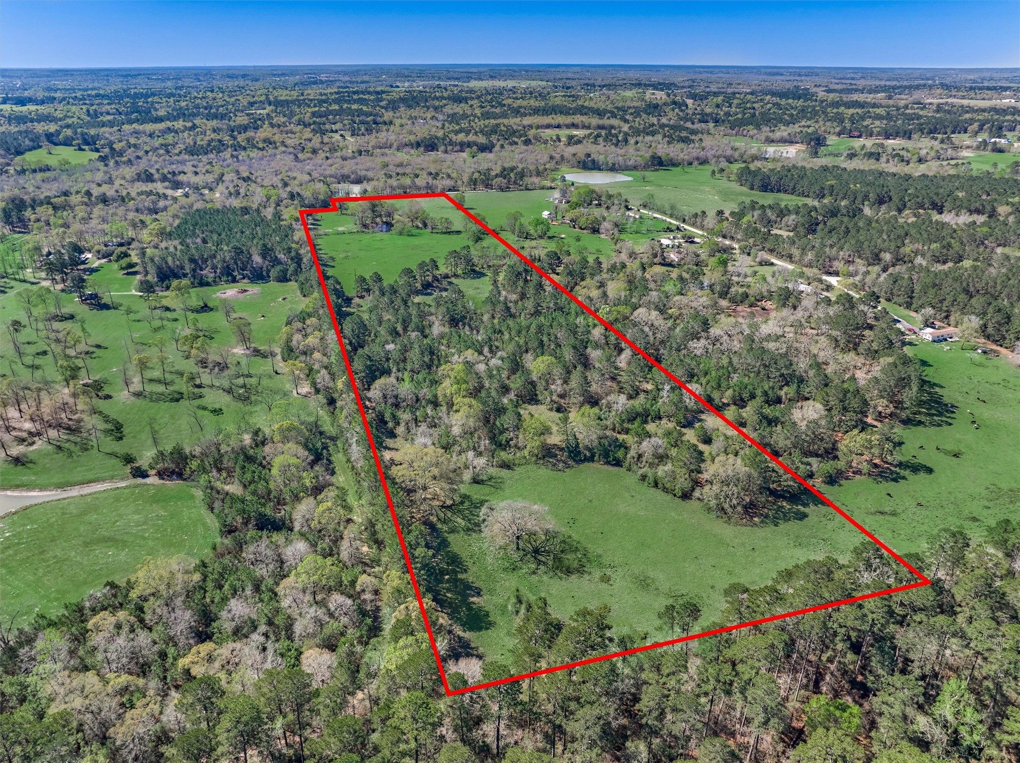 Tbd Bailey Grove Road Montgomery, TX 77356 - Photo 9 of 17 a view of a green field with lots of green space