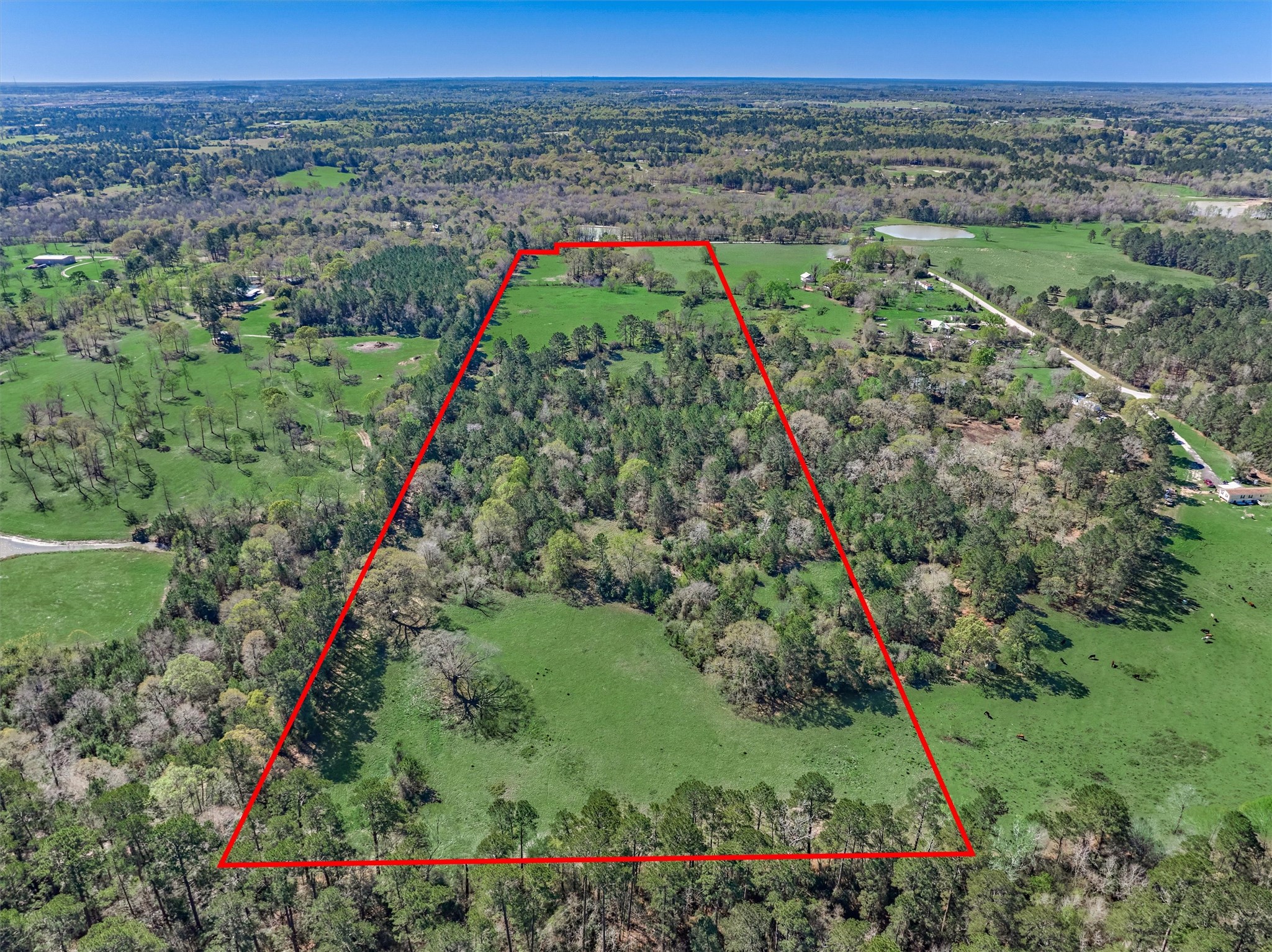 Tbd Bailey Grove Road Montgomery, TX 77356 - Photo 10 of 17 a view of a lush green field with lots of bushes