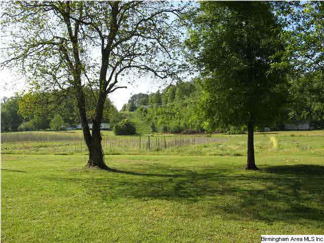 1475 Odens Mill Road Sylacauga, AL 35150 - Photo 2 of 28