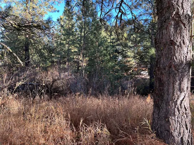 $165,000 | L129 Par Drive, Unit 129, Cascade, ID 83611