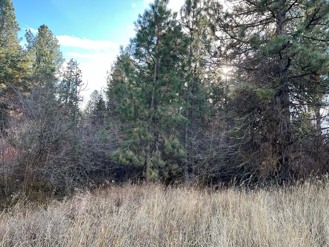 $165,000 | L129 Par Drive, Unit 129, Cascade, ID 83611