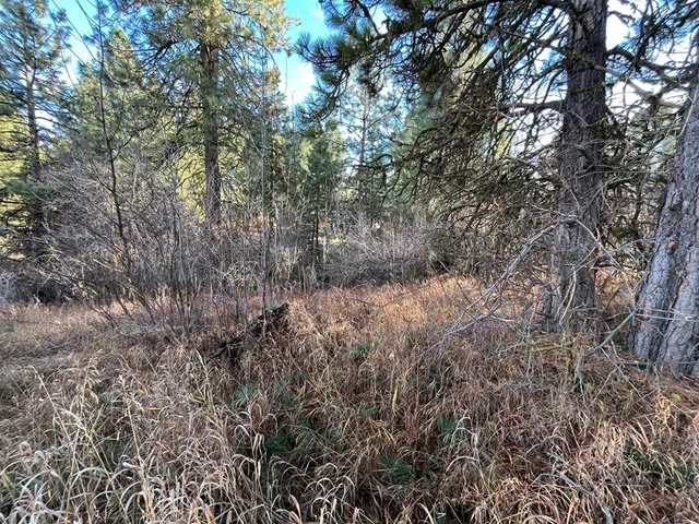 $165,000 | L129 Par Drive, Unit 129, Cascade, ID 83611