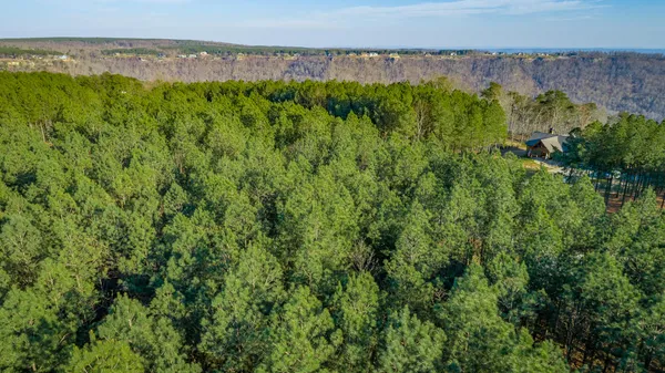 $45,000 | 0 Crockett Pointe, Unit JF217, Jasper, TN 37347