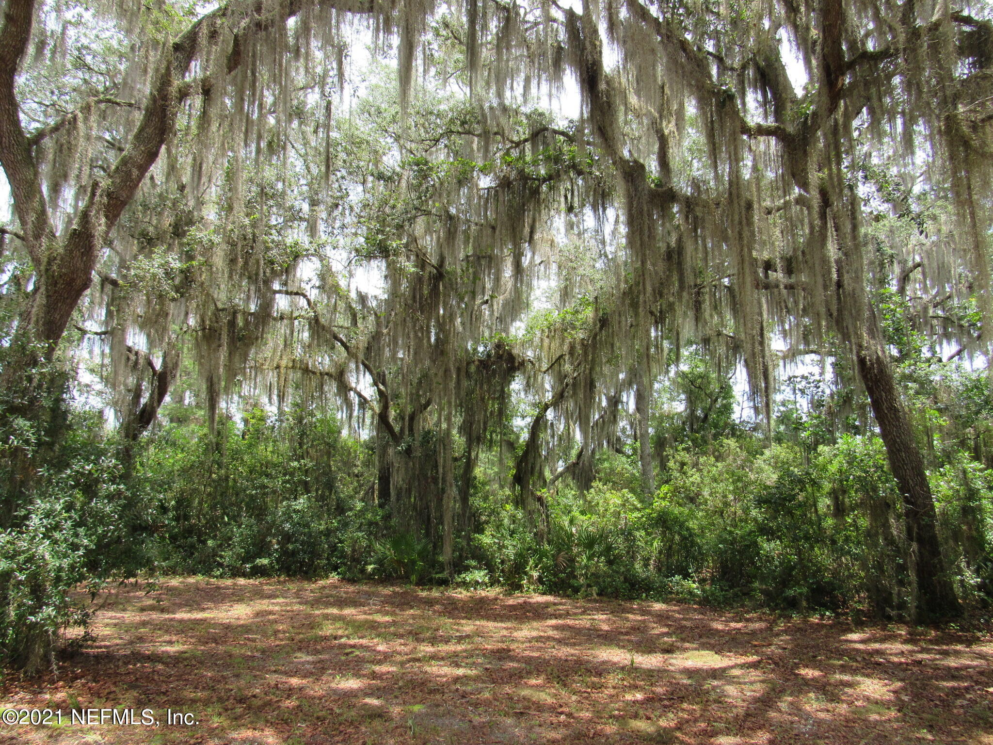 261 Union Camp Road Crescent City, FL 32112 - Photo 37 of 52 IMG_6893
