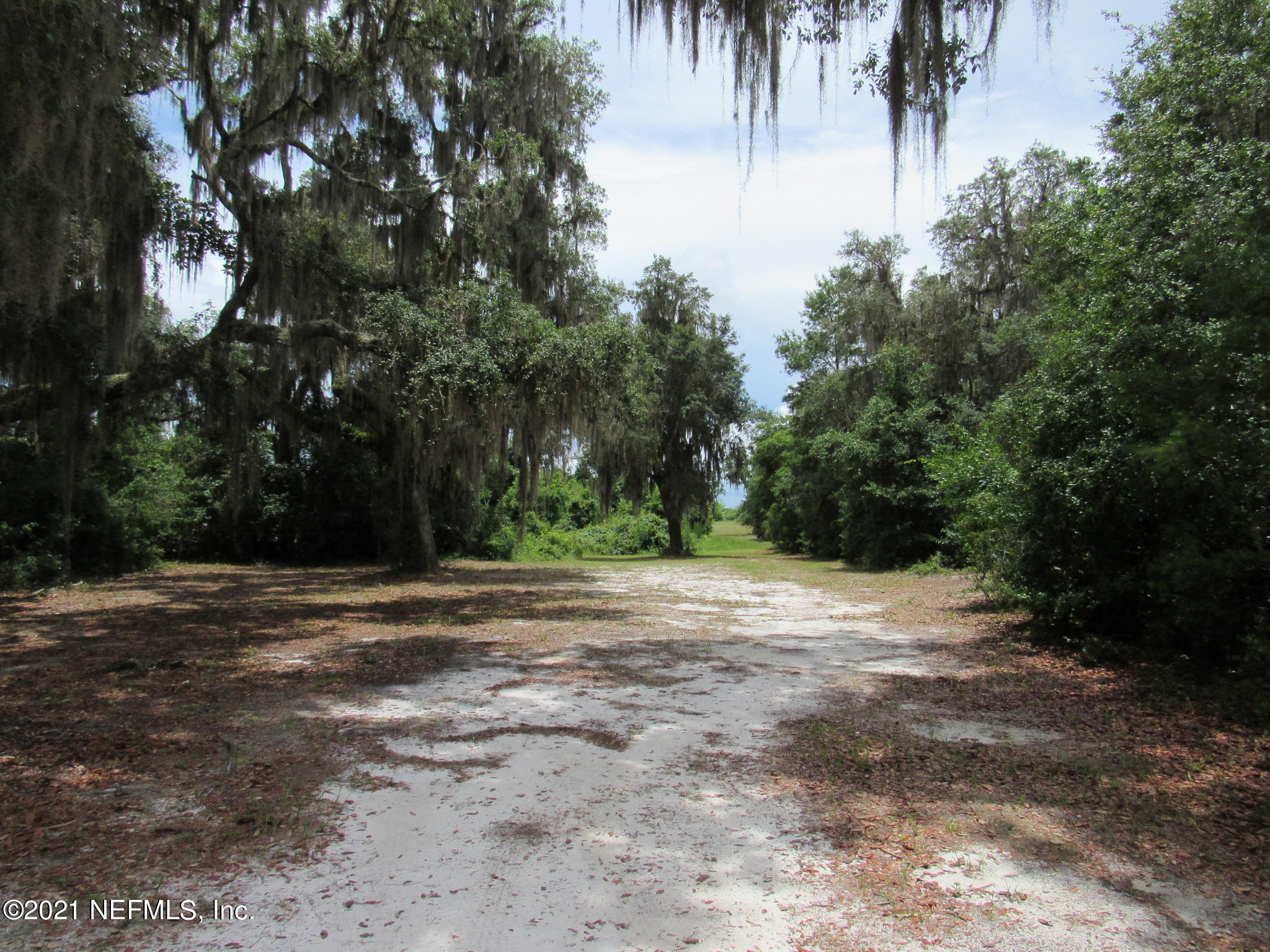 261 Union Camp Road Crescent City, FL 32112 - Photo 39 of 52 IMG_6895