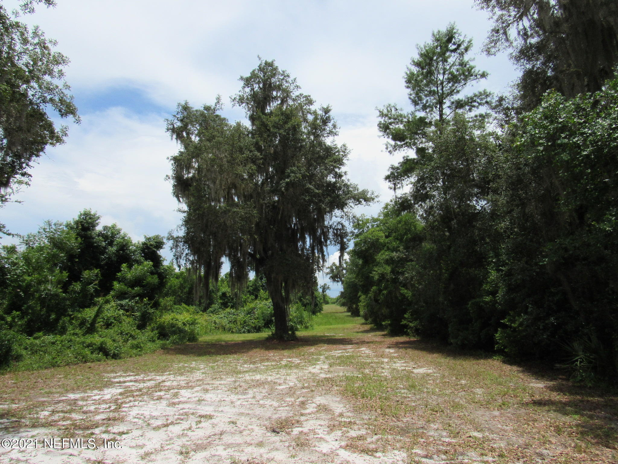 261 Union Camp Road Crescent City, FL 32112 - Photo 40 of 52 IMG_6898