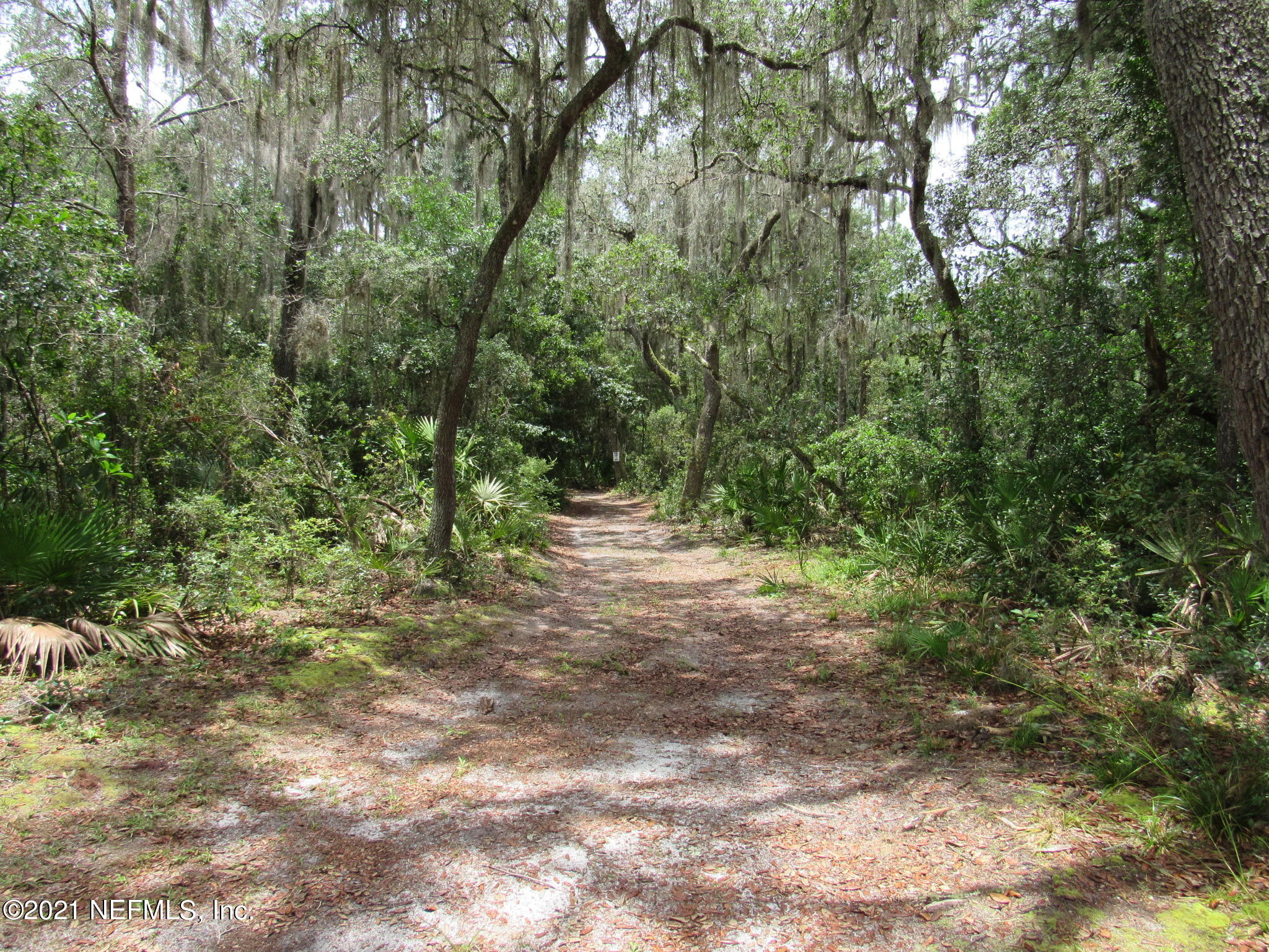 261 Union Camp Road Crescent City, FL 32112 - Photo 42 of 52 IMG_6900