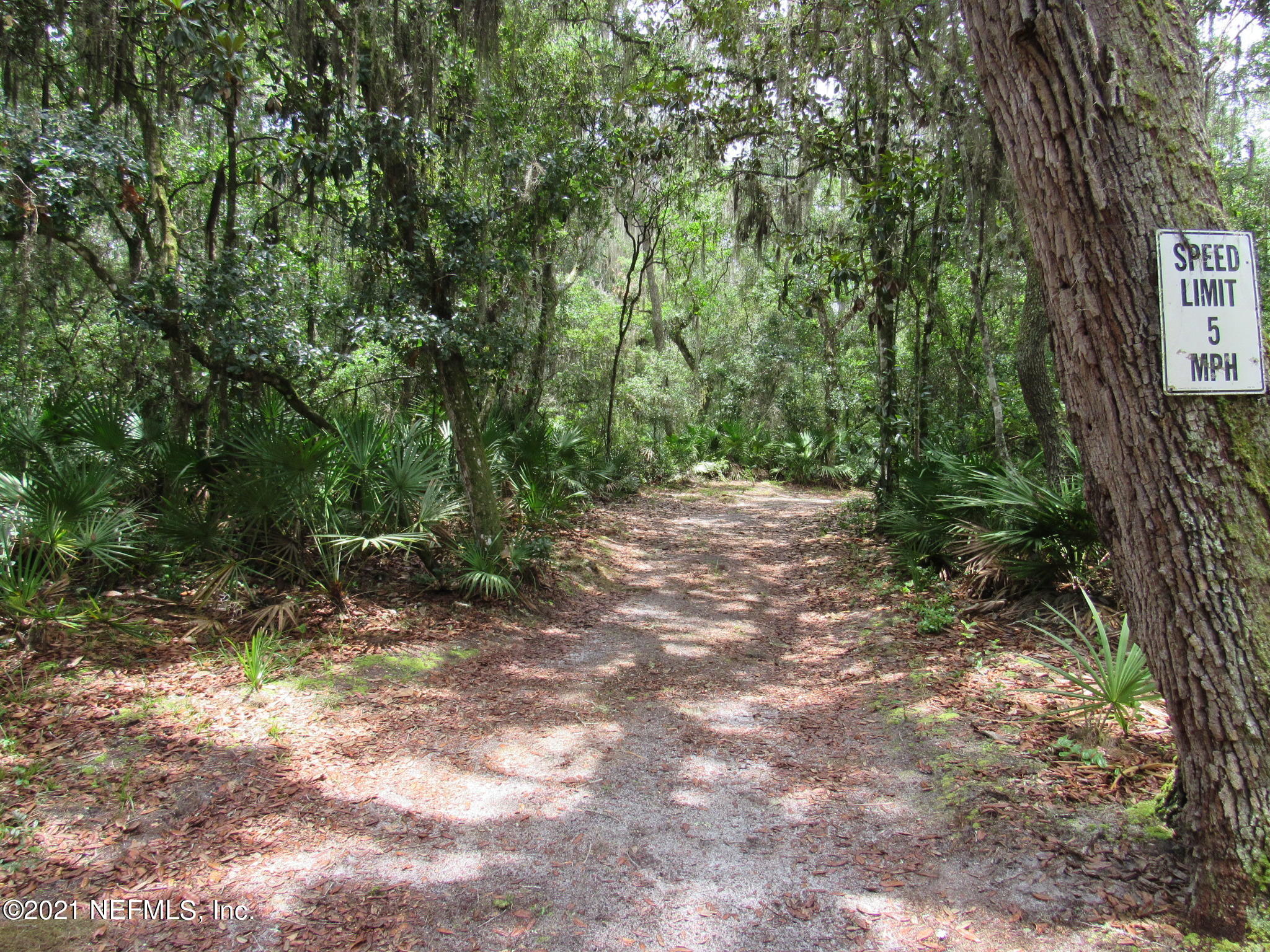 261 Union Camp Road Crescent City, FL 32112 - Photo 43 of 52 IMG_6901
