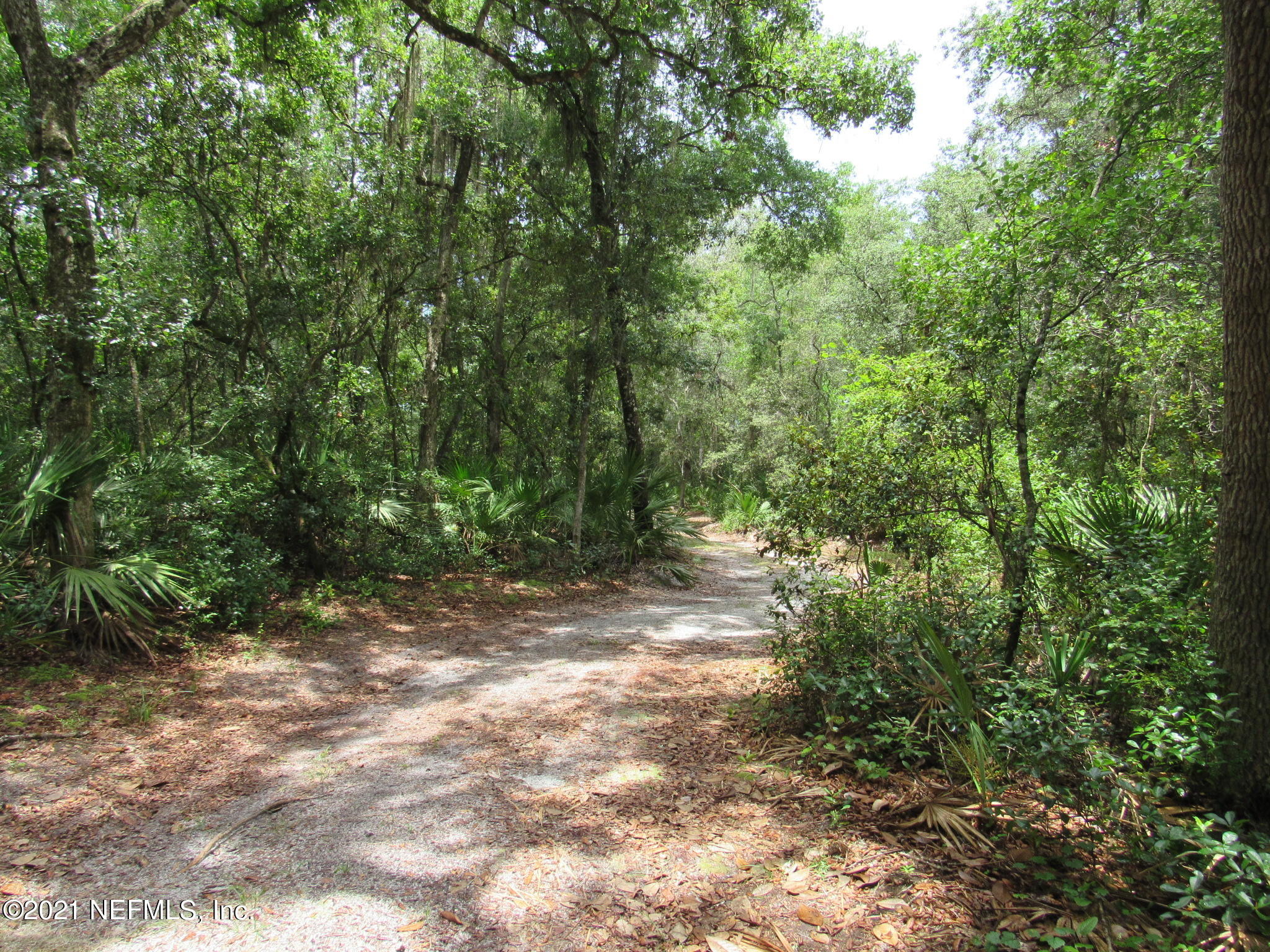 261 Union Camp Road Crescent City, FL 32112 - Photo 44 of 52 IMG_6902
