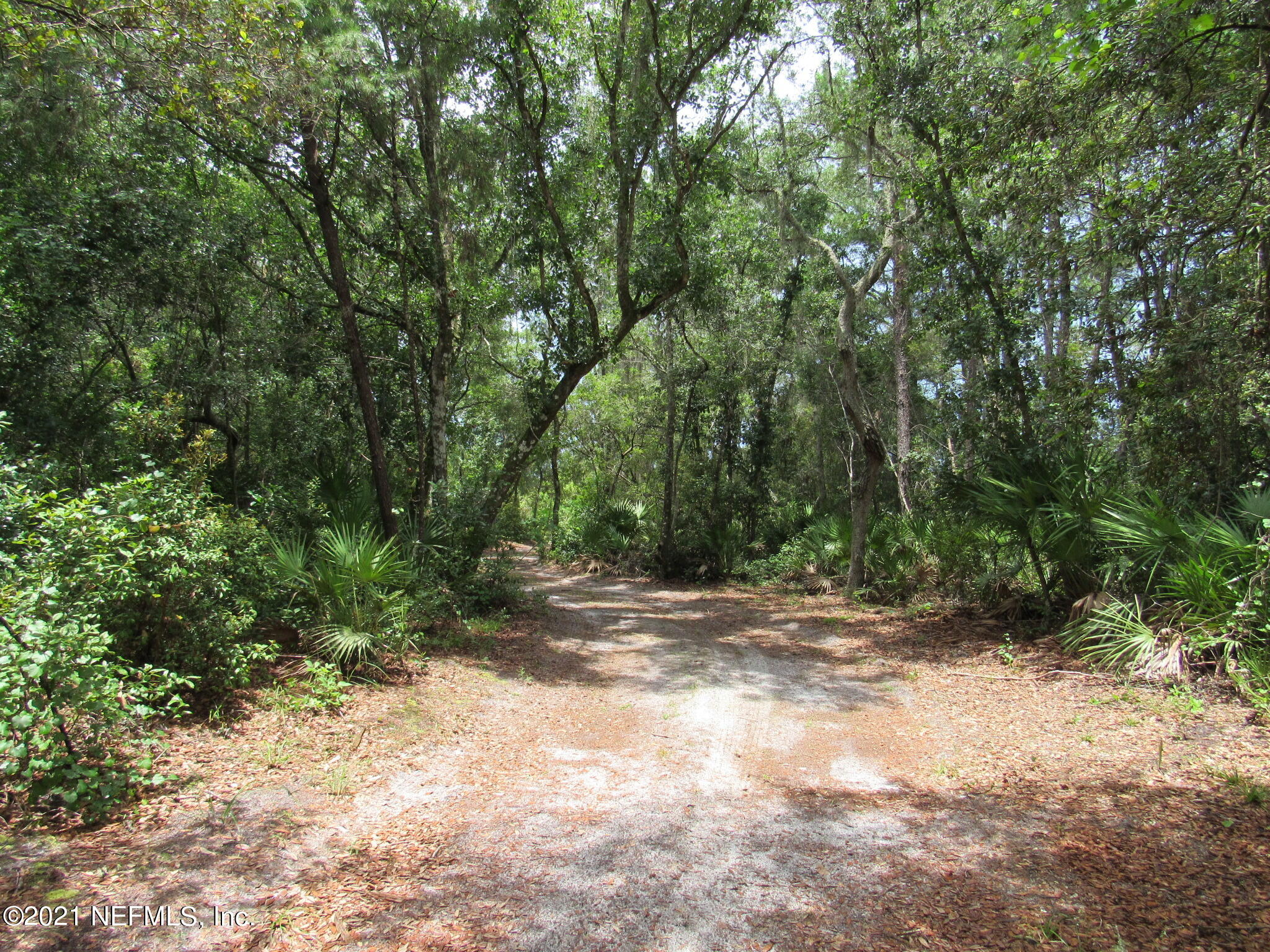 261 Union Camp Road Crescent City, FL 32112 - Photo 45 of 52 IMG_6903