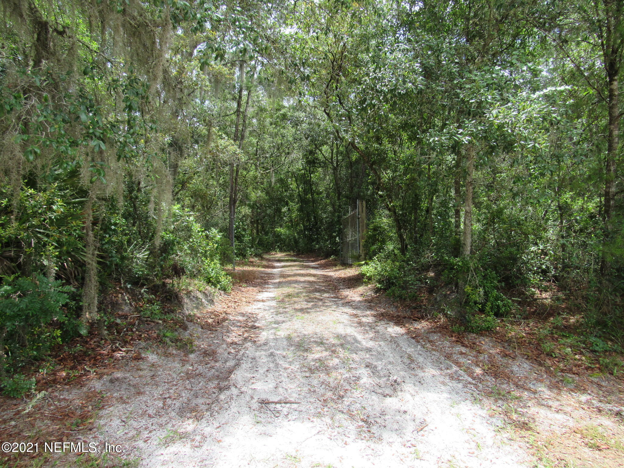 261 Union Camp Road Crescent City, FL 32112 - Photo 46 of 52 IMG_6904
