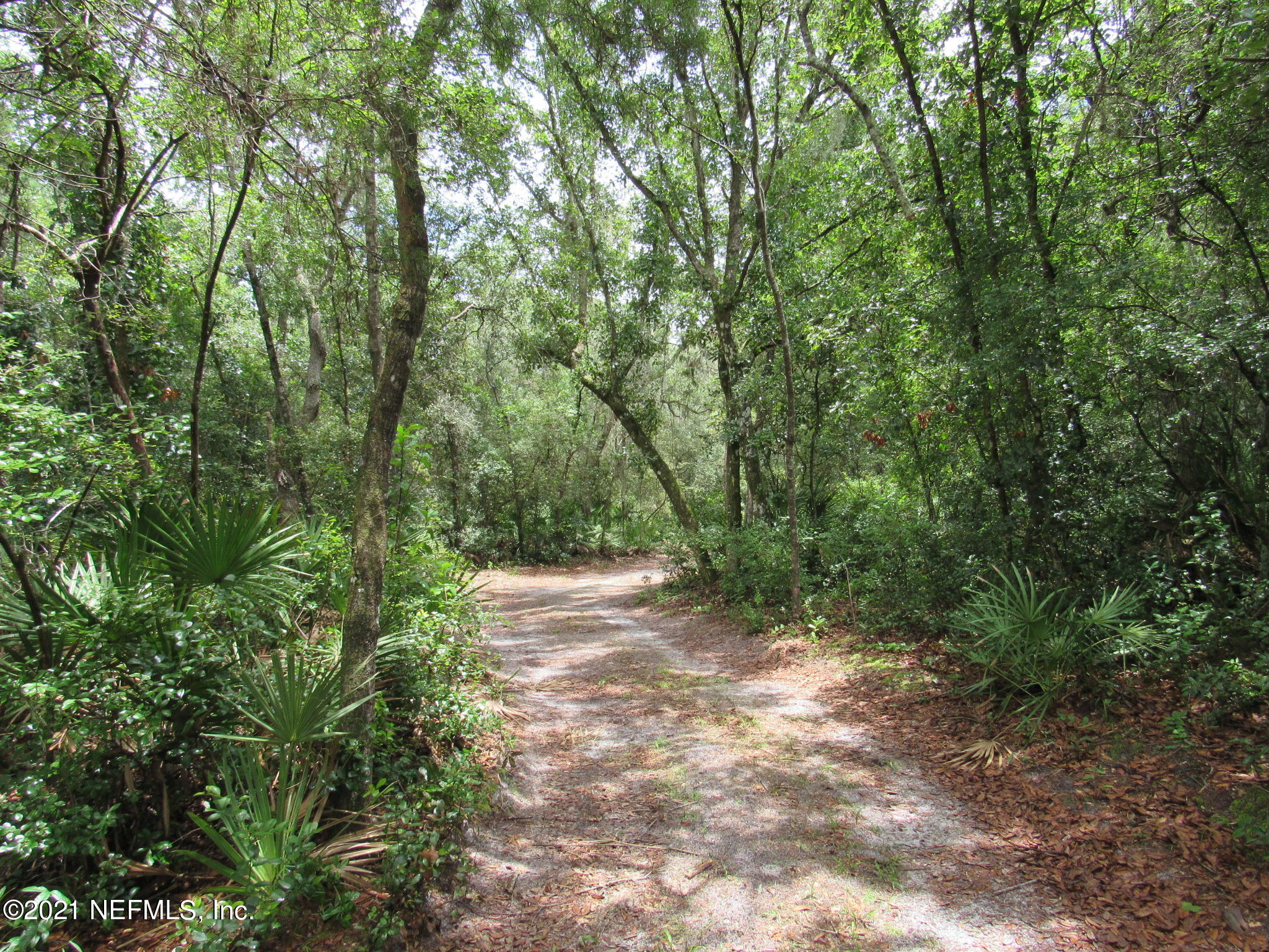 261 Union Camp Road Crescent City, FL 32112 - Photo 51 of 52 IMG_6910