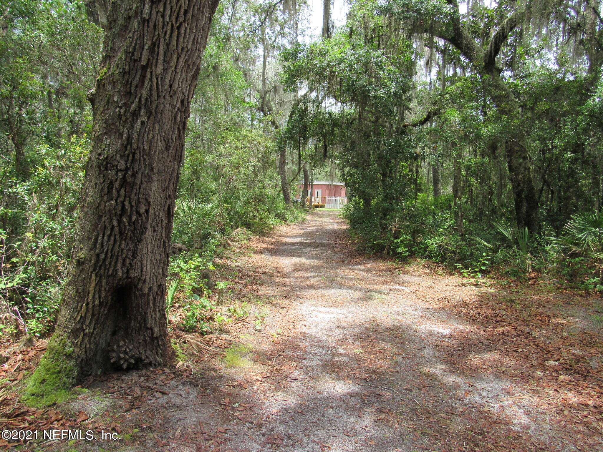 261 Union Camp Road Crescent City, FL 32112 - Photo 52 of 52 IMG_6911