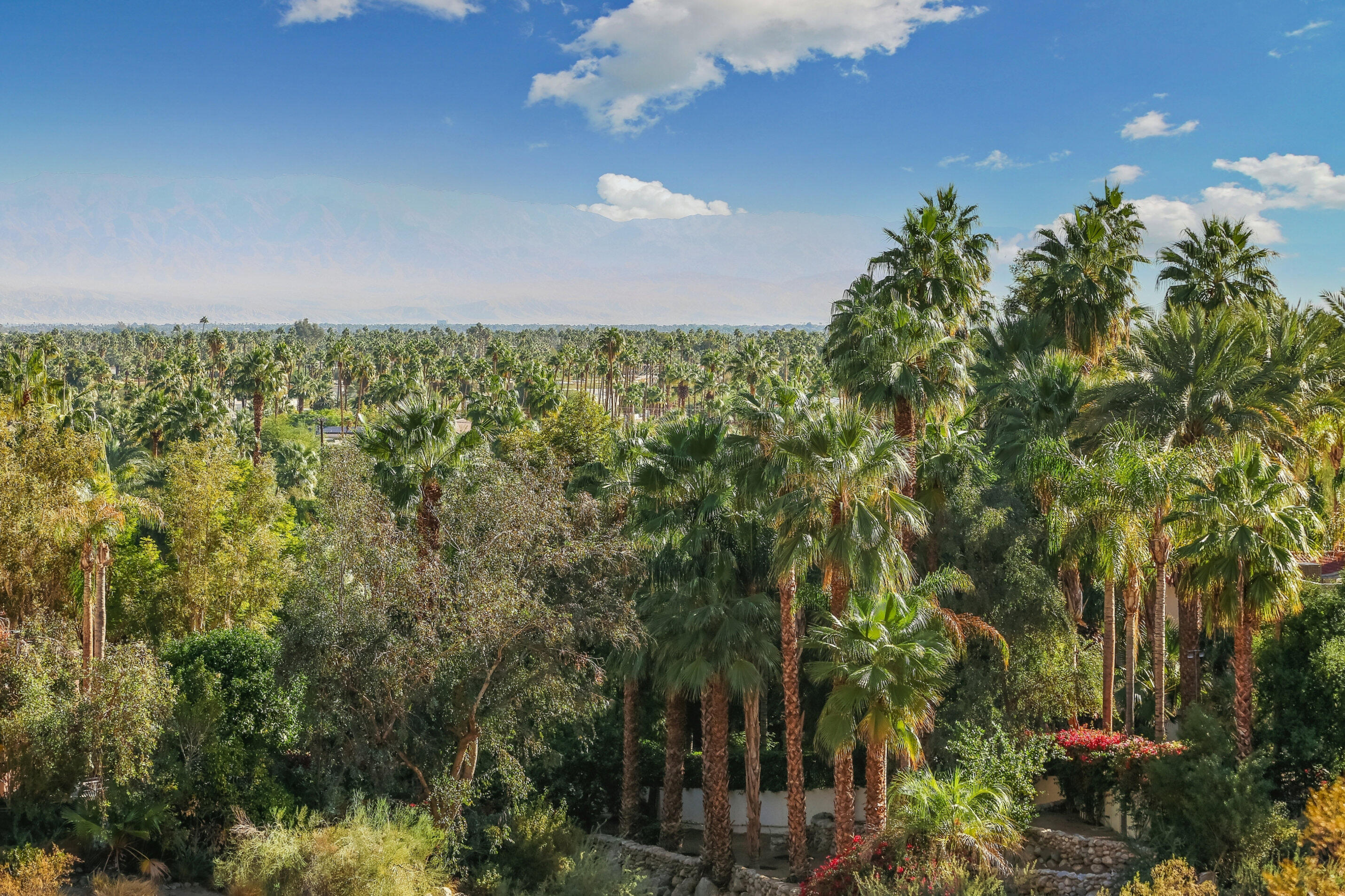 1716 Ridge Road Palm Springs, CA 92264 - Photo 17 of 37 a view of a city
