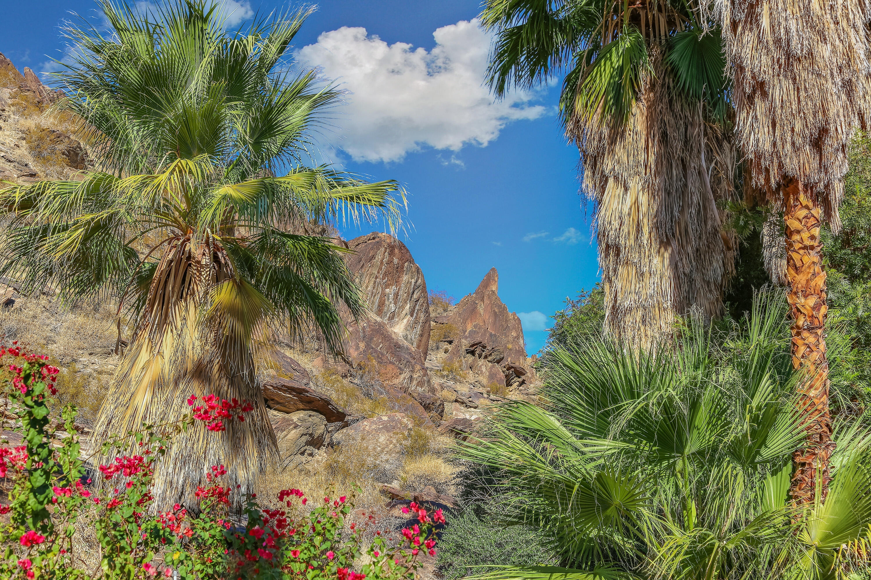 1716 Ridge Road Palm Springs, CA 92264 - Photo 21 of 37