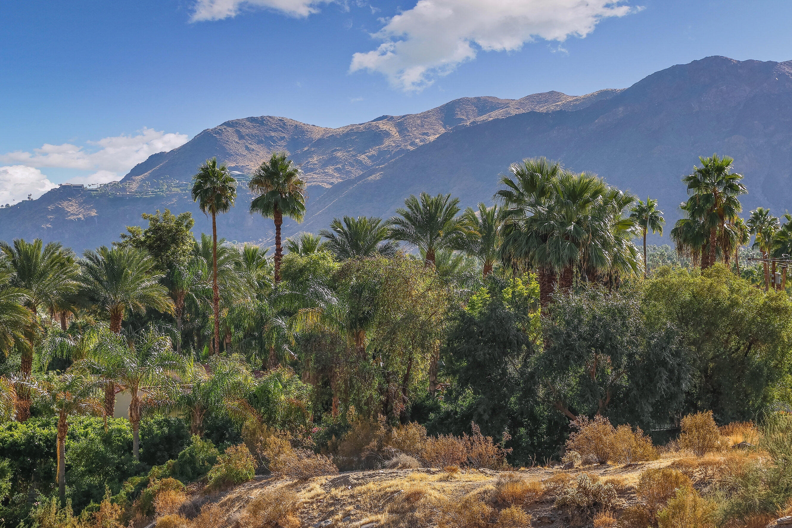 1716 Ridge Road Palm Springs, CA 92264 - Photo 22 of 37 a view of a lush green hillside and a building