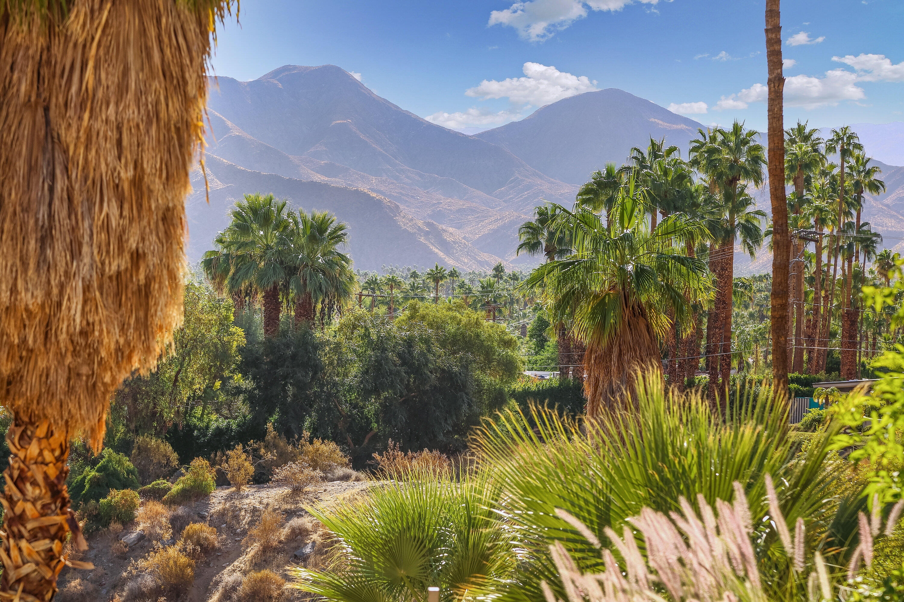 1716 Ridge Road Palm Springs, CA 92264 - Photo 26 of 37