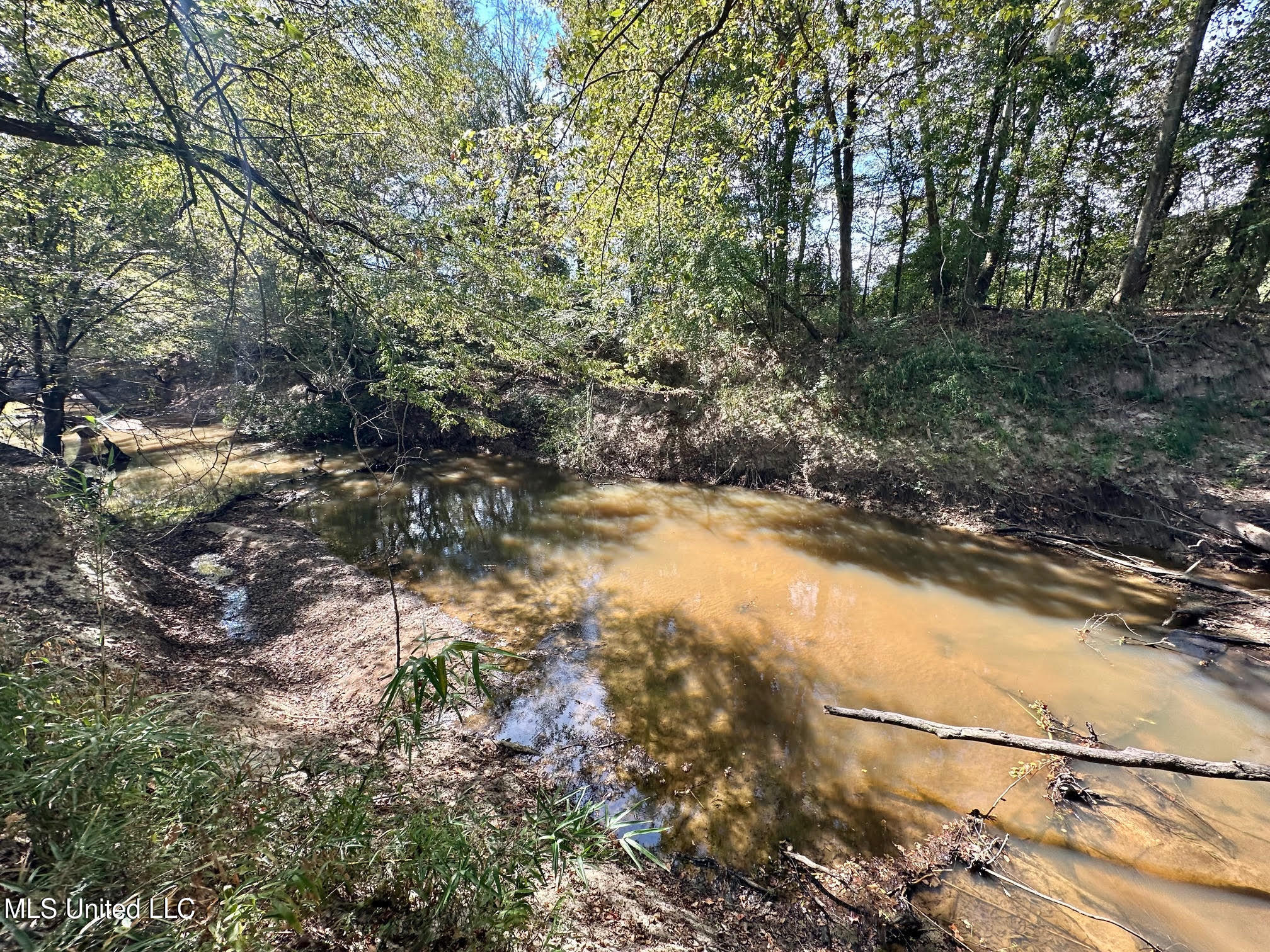 0 Highway 35 Forest, MS 39074 - Photo 12 of 28 11