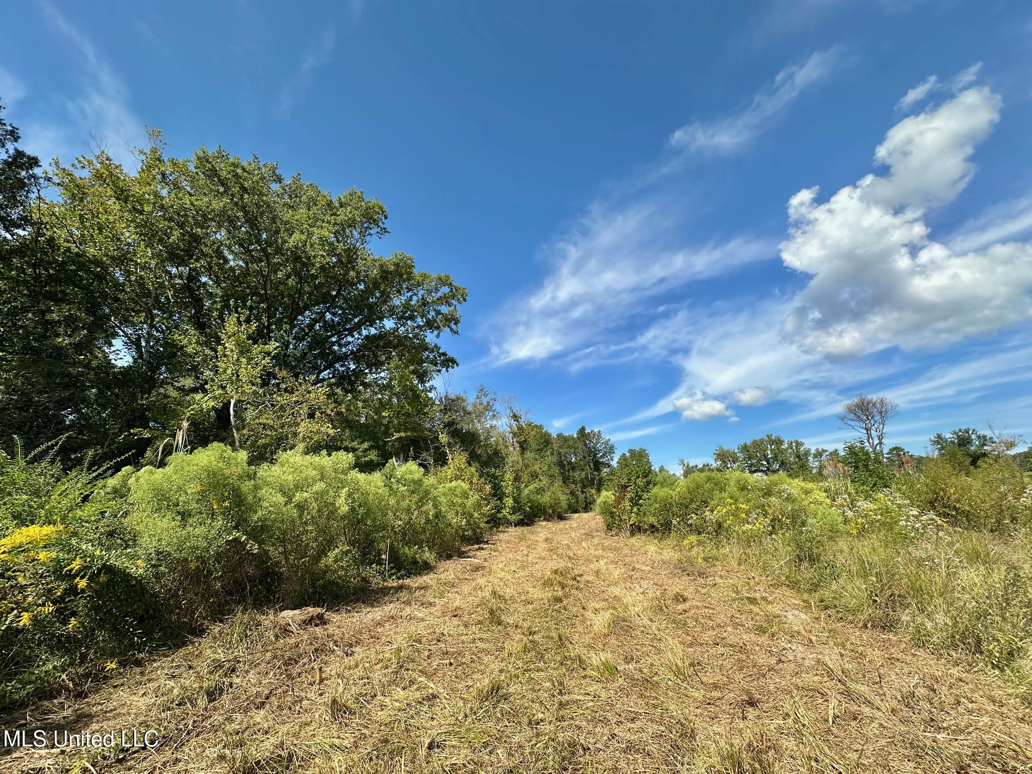 0 Highway 35 Forest, MS 39074 - Photo 13 of 28 12
