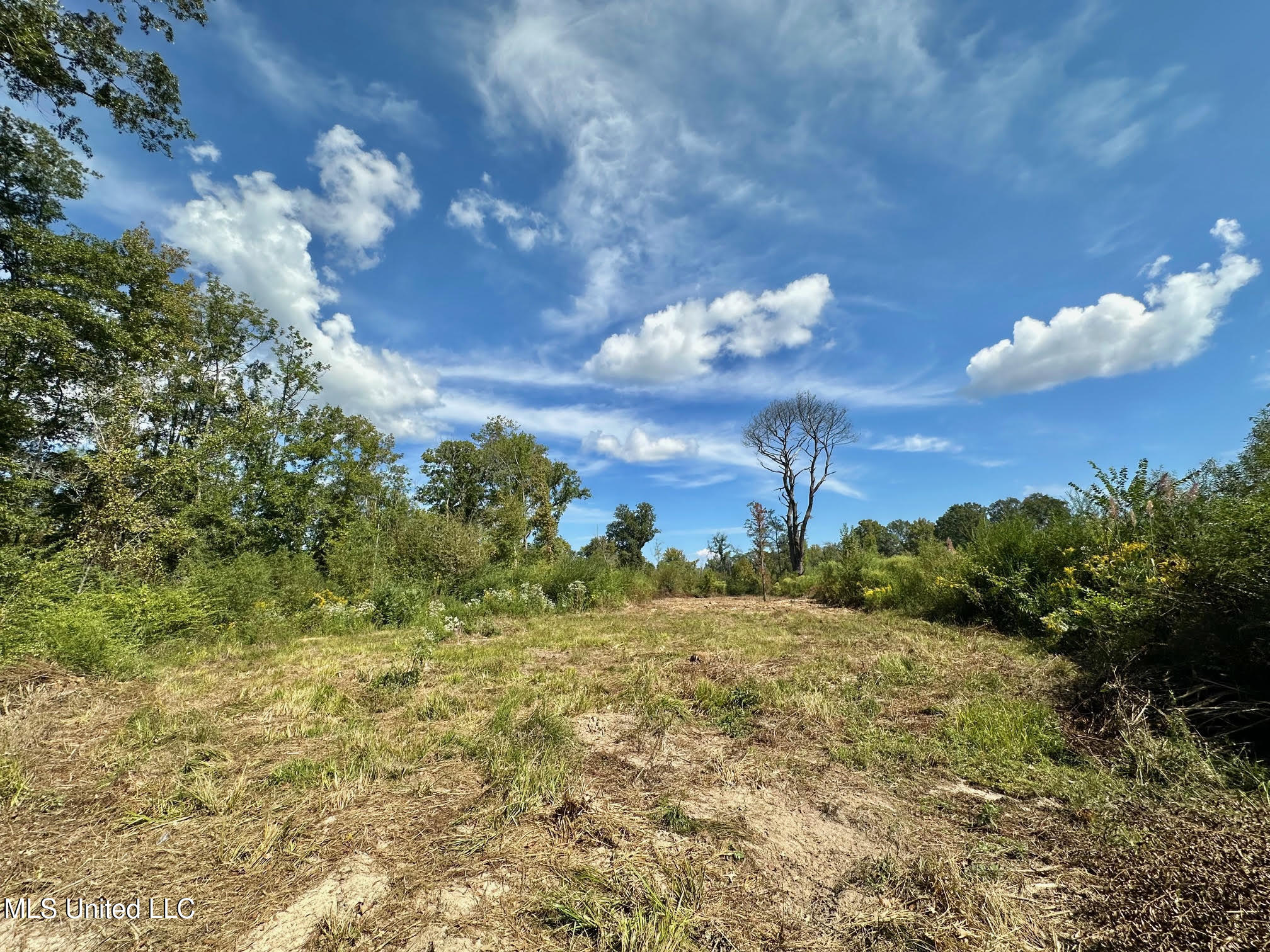 0 Highway 35 Forest, MS 39074 - Photo 14 of 28 13