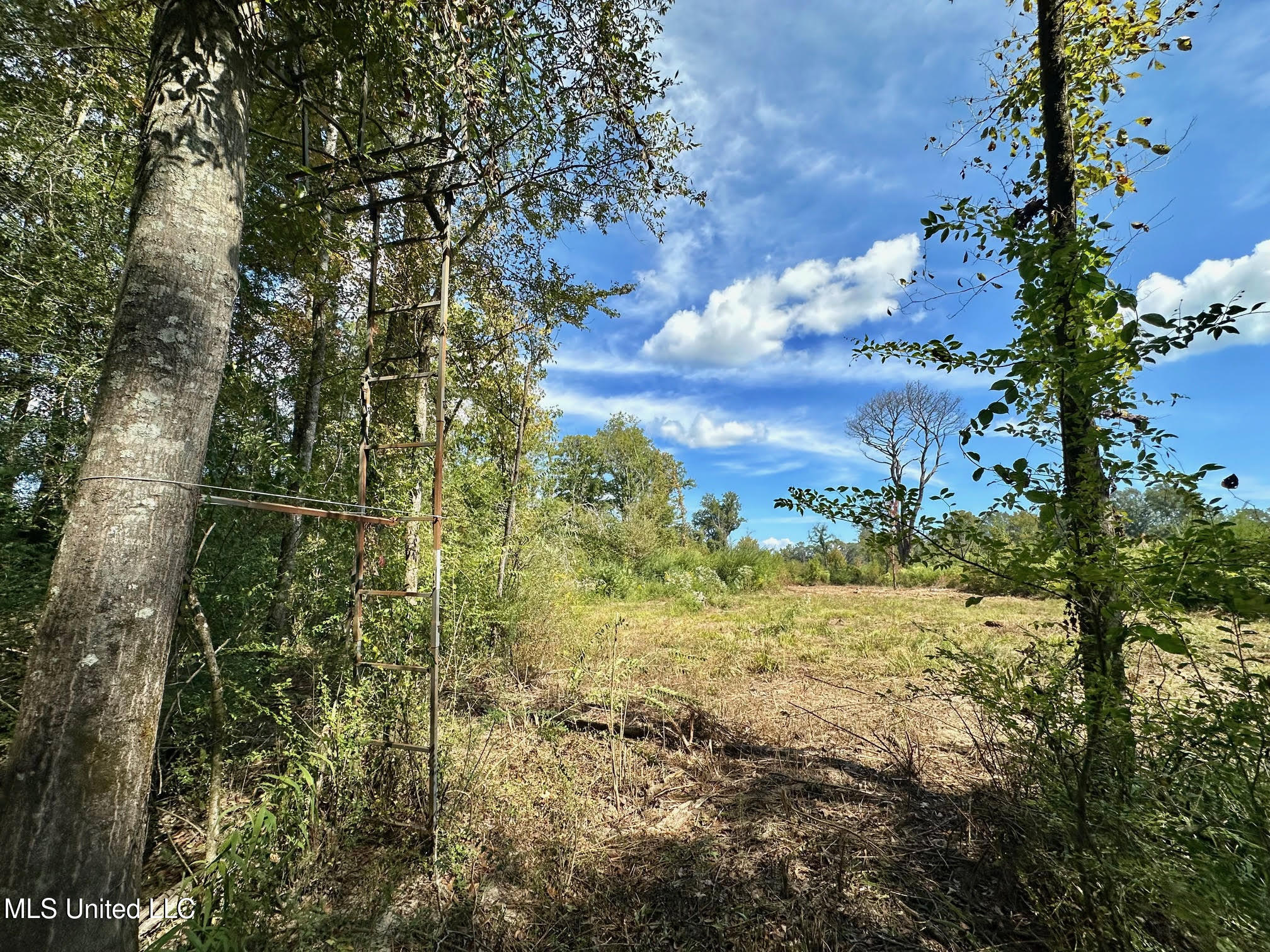 0 Highway 35 Forest, MS 39074 - Photo 15 of 28 14