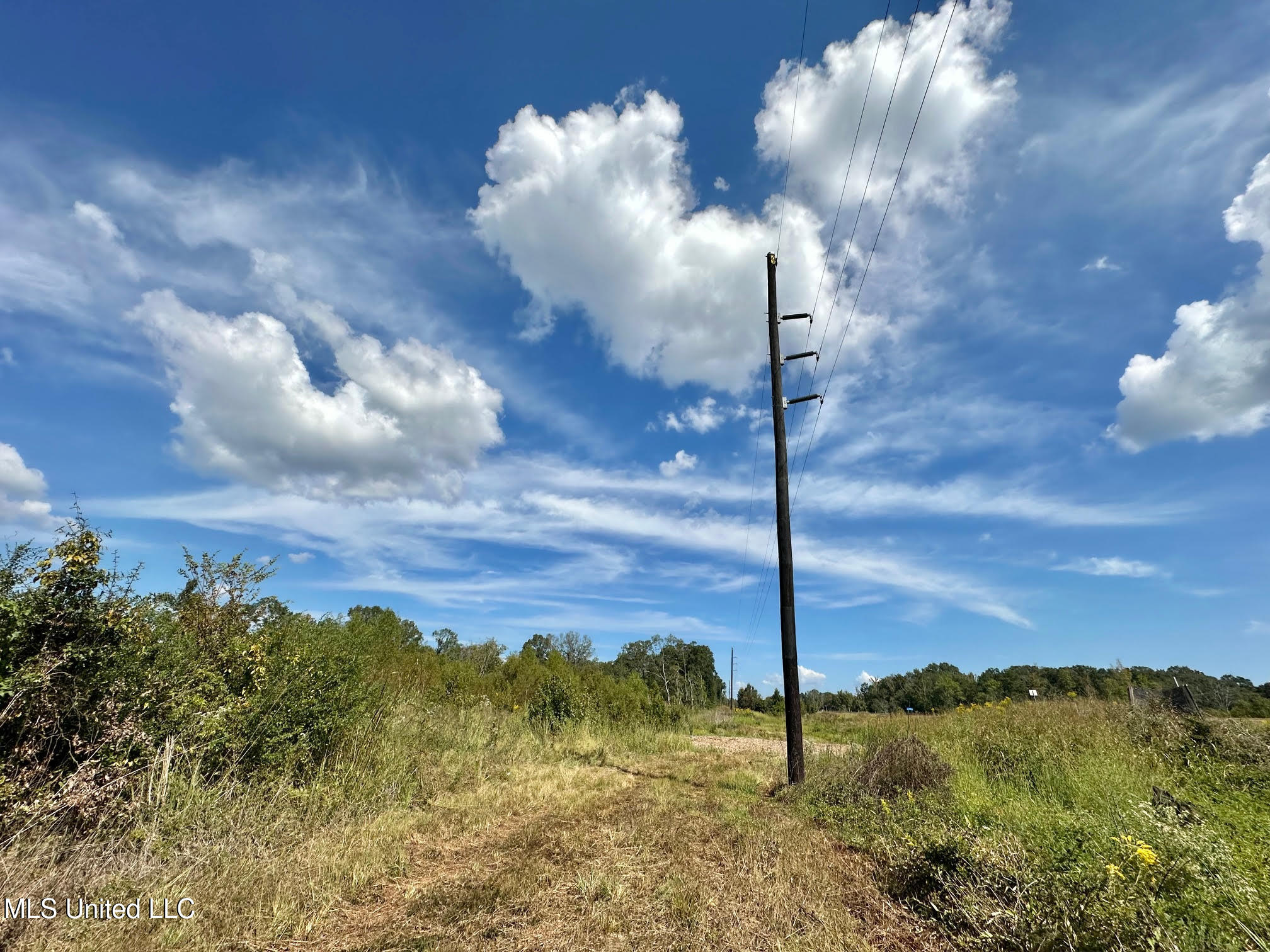 0 Highway 35 Forest, MS 39074 - Photo 18 of 28 17