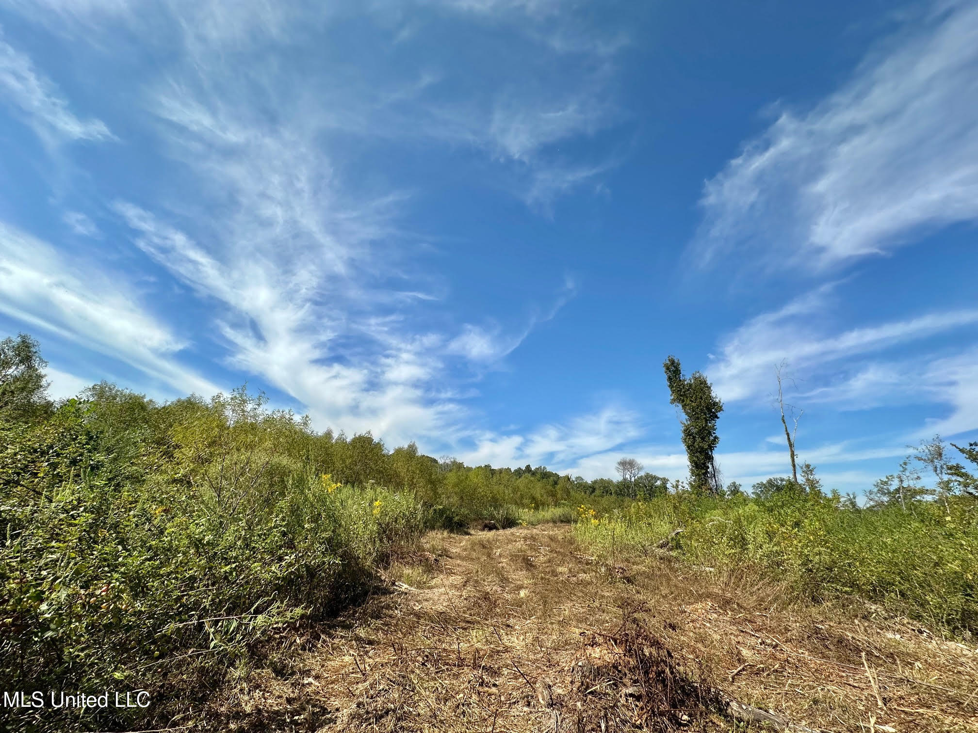 0 Highway 35 Forest, MS 39074 - Photo 2 of 28 1
