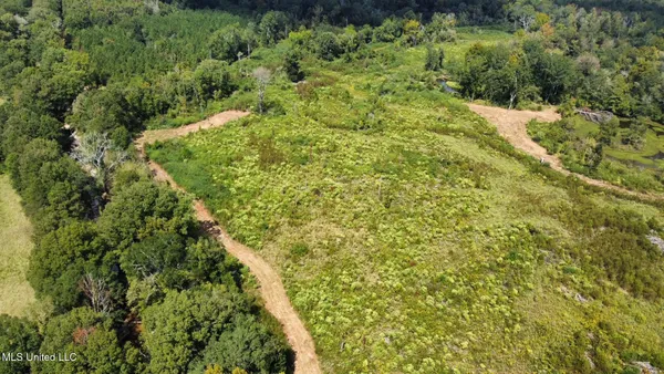 $79,000 | 0 Highway 35, Forest, MS 39074