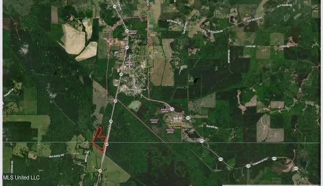 0 Highway 35 Forest, MS 39074 - Photo 28 of 28 68