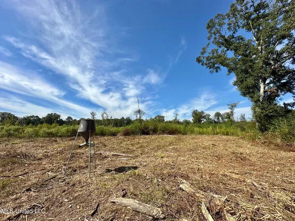 $79,000 | 0 Highway 35, Forest, MS 39074