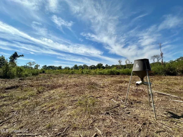 $79,000 | 0 Highway 35, Forest, MS 39074