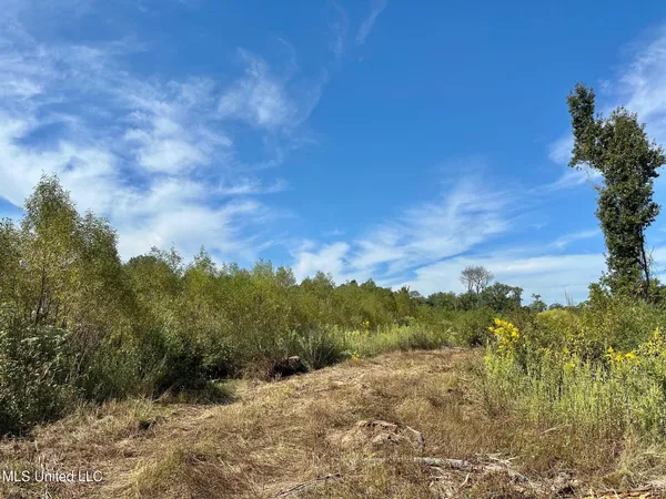 $79,000 | 0 Highway 35, Forest, MS 39074