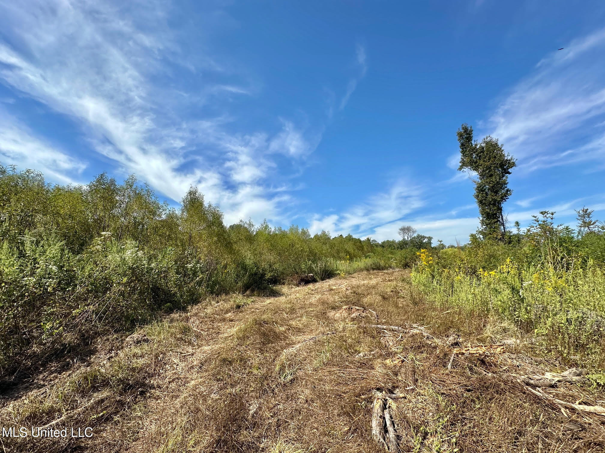 0 Highway 35 Forest, MS 39074 - Photo 7 of 28 6