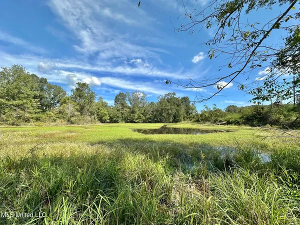 $79,000 | 0 Highway 35, Forest, MS 39074