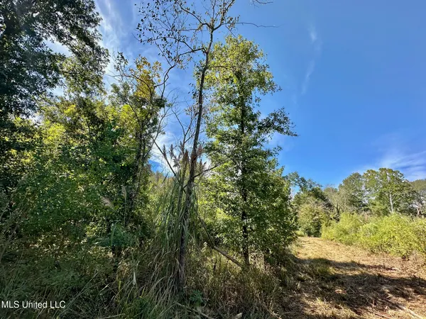 $79,000 | 0 Highway 35, Forest, MS 39074