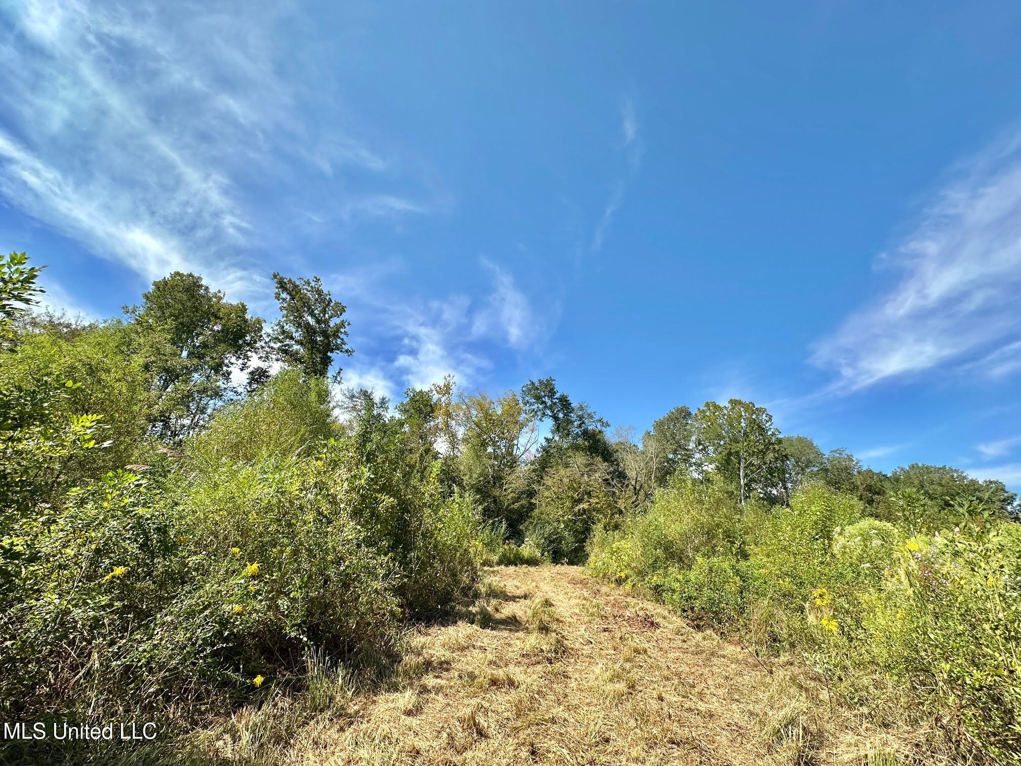 0 Highway 35 Forest, MS 39074 - Photo 10 of 28 9