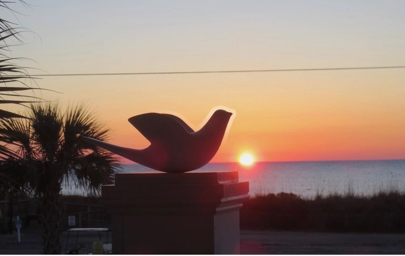 1914 Lark Surfside Beach, SC 29575 - Photo 51 of 68