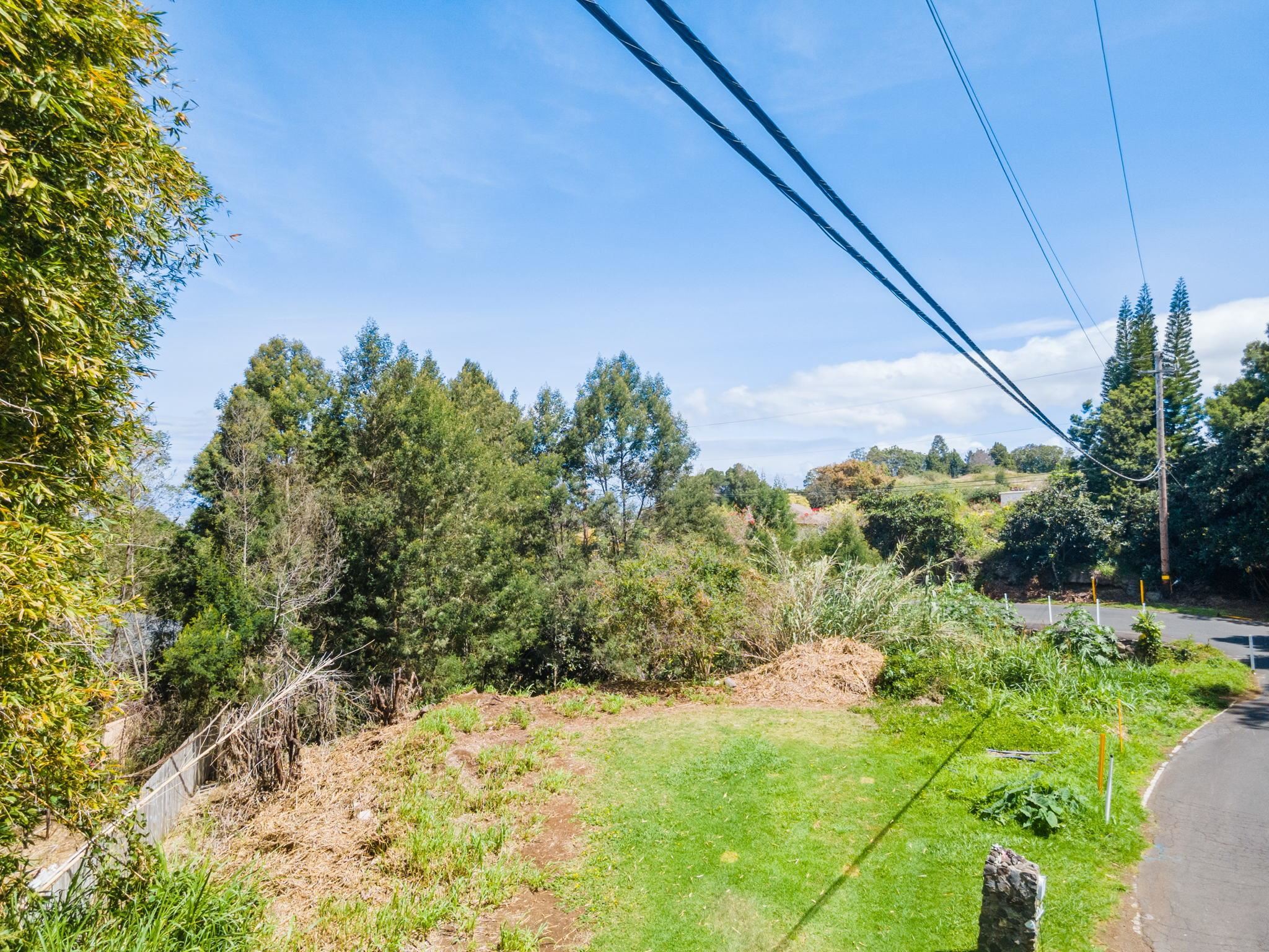 0 Polipoli Road Kula, HI 96790 - Photo 14 of 23 a view of a yard with plants and a tree