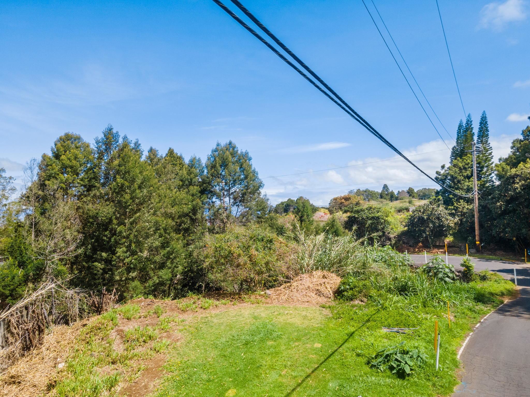 0 Polipoli Road Kula, HI 96790 - Photo 16 of 23 a view of a yard