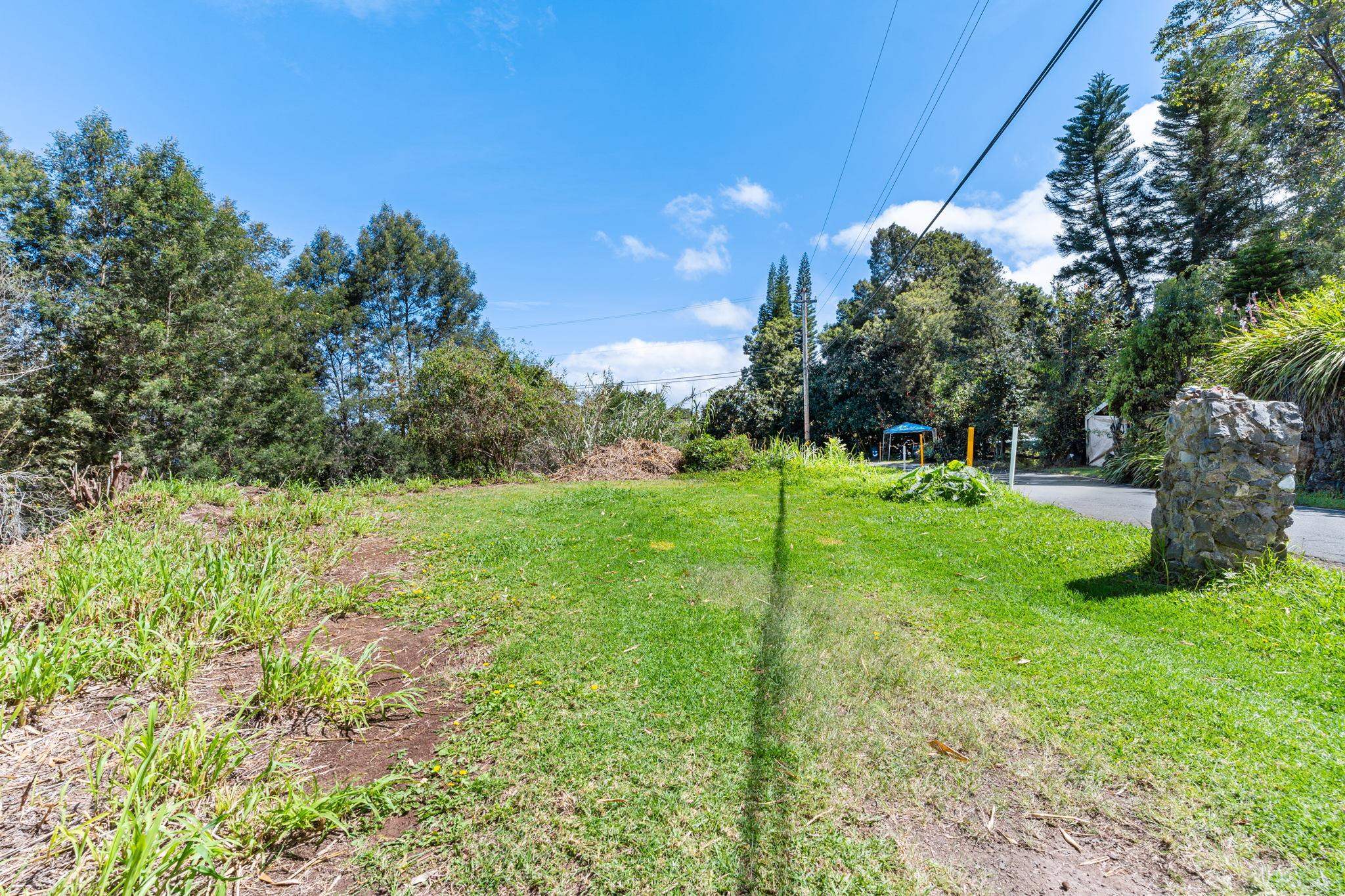 0 Polipoli Road Kula, HI 96790 - Photo 18 of 23 a view of a park with large trees