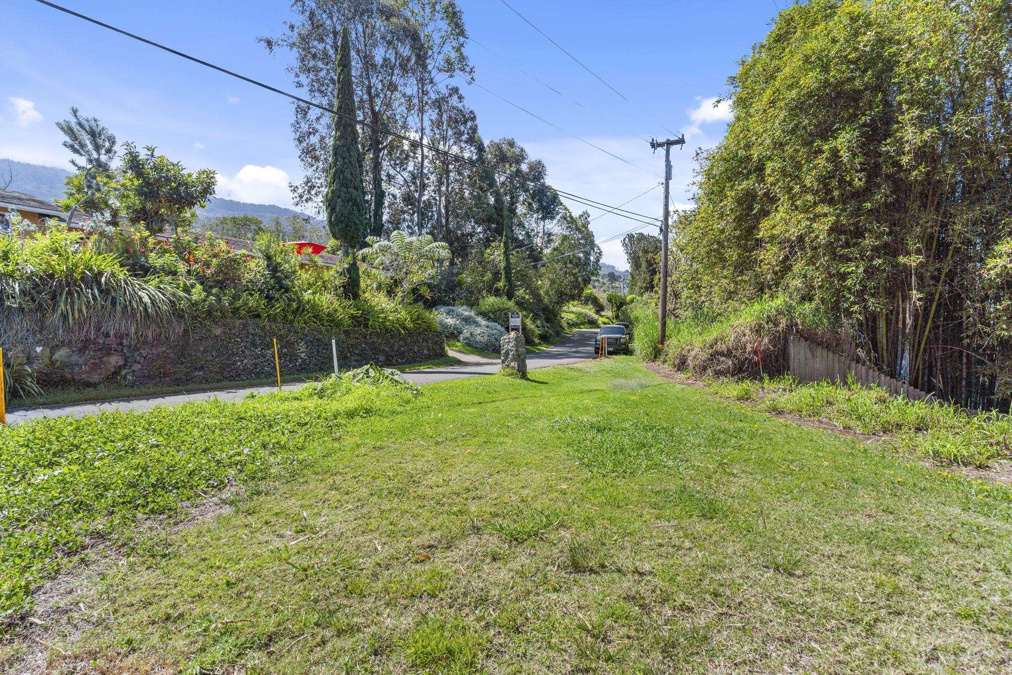 0 Polipoli Road Kula, HI 96790 - Photo 19 of 23 a view of a garden with a fountain