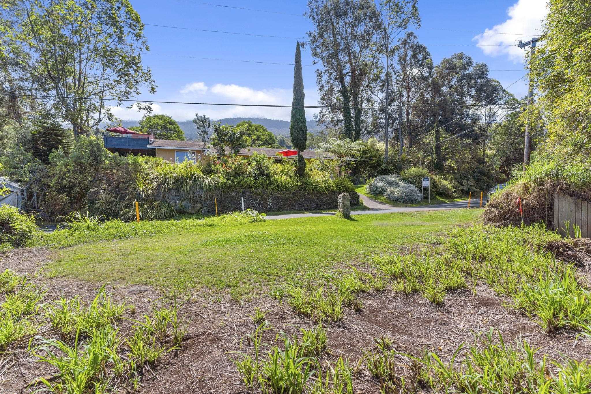0 Polipoli Road Kula, HI 96790 - Photo 20 of 23 a view of a garden with plants and large trees