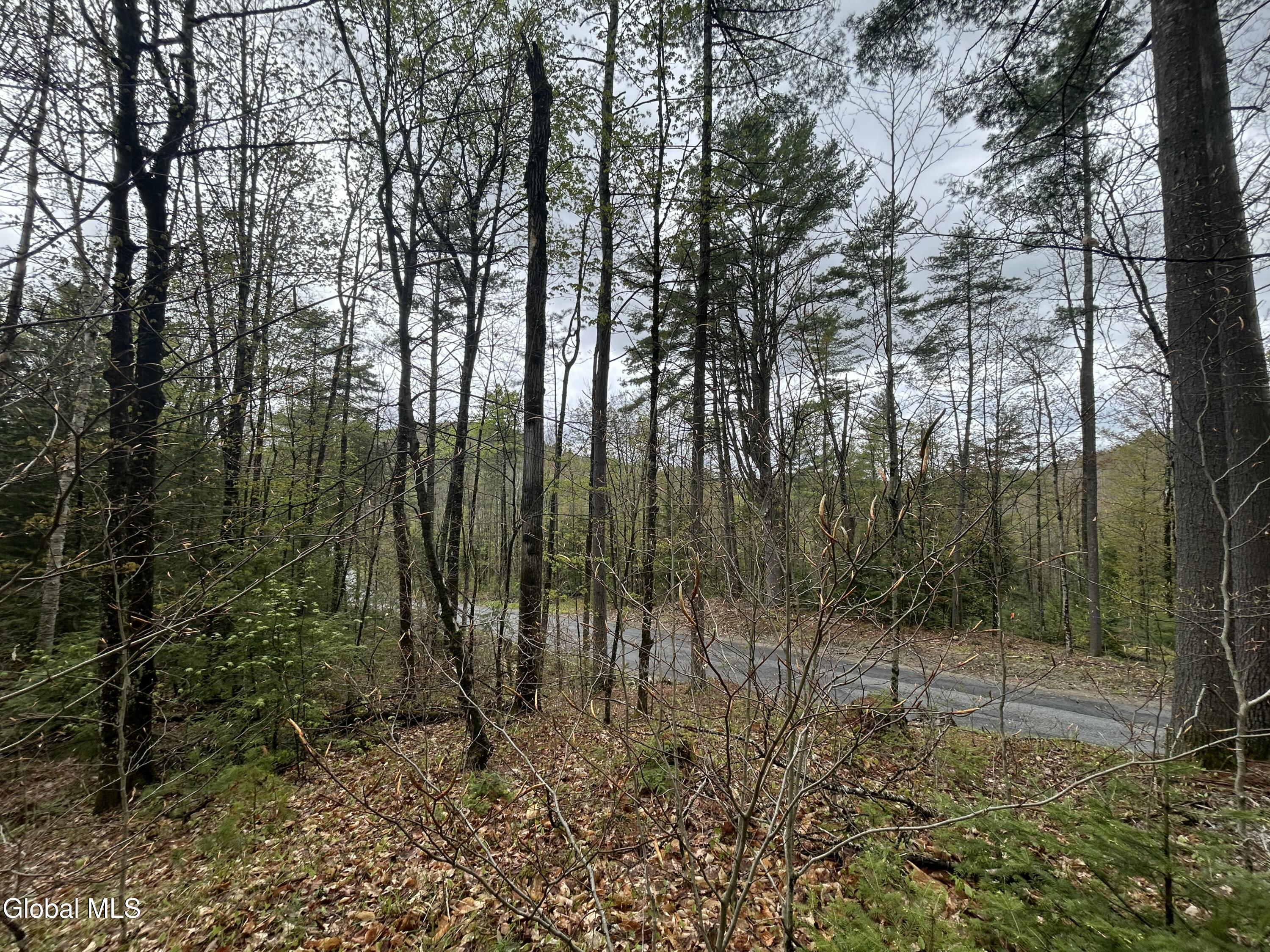 L46 Alder Brook Road Brant Lake, NY 12815 - Photo 2 of 15 IMG_2474