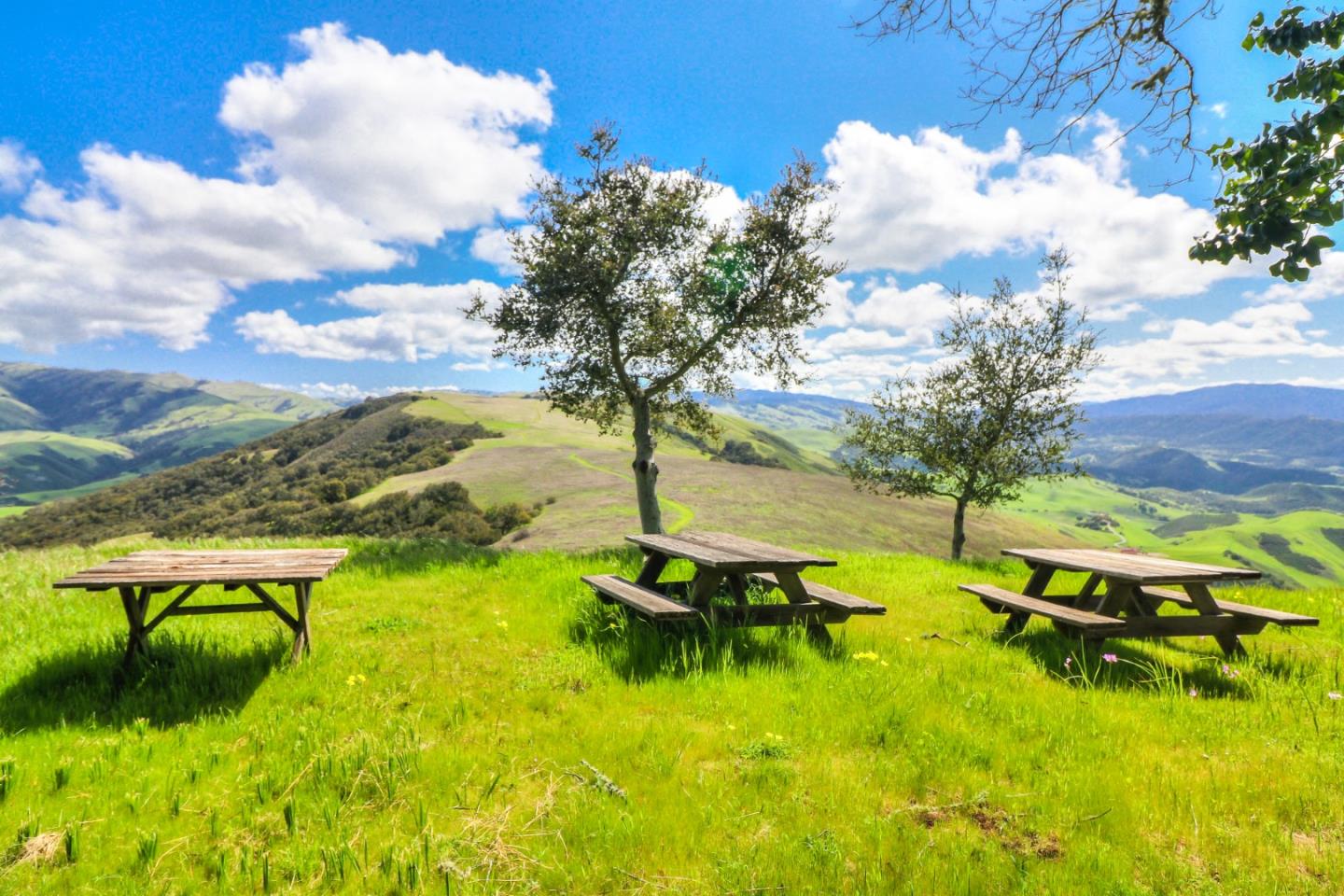500 El Caminito Road Carmel Valley, CA 93924 - Photo 52 of 105