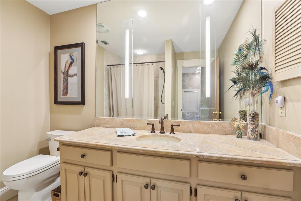 17810 Crawley Road Odessa, FL 33556 - Photo 30 of 76 a bathroom with a granite countertop sink a toilet and a large mirror
