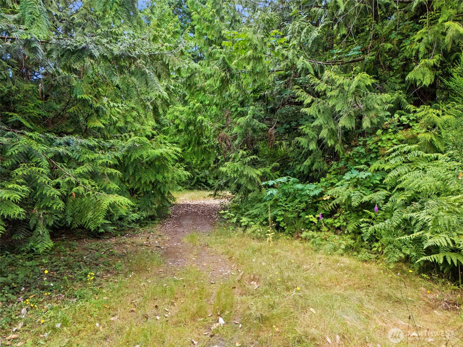 0 Rouse Road Southwest Longbranch, WA 98351 - Photo 9 of 20 Gallery Image 9