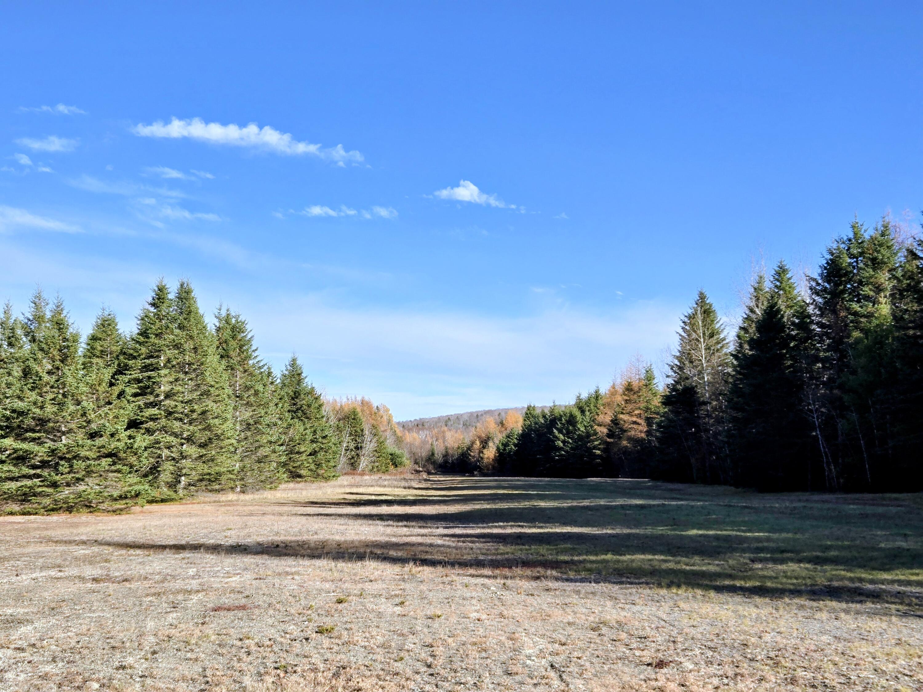 Lot 11 Holeb Road Jackman, ME 04945 - Photo 42 of 59 Private Airstrip. Pilots Take Notice!